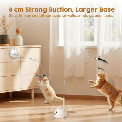 Pounce Pal
